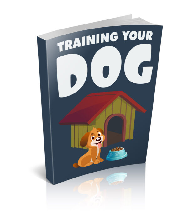 Training Your Dog